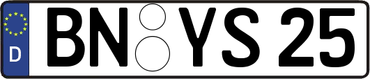 BN-YS25