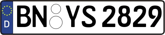 BN-YS2829