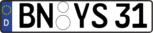 BN-YS31