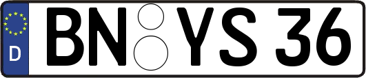 BN-YS36