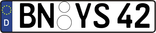 BN-YS42