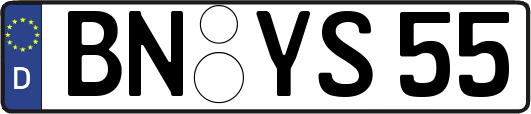 BN-YS55