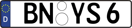 BN-YS6