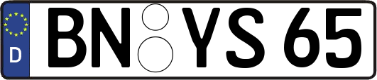BN-YS65