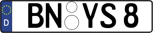 BN-YS8