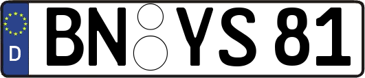 BN-YS81