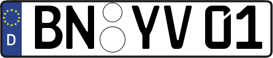 BN-YV01