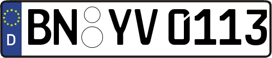 BN-YV0113