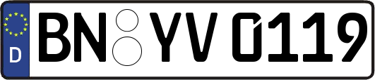 BN-YV0119