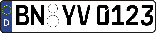 BN-YV0123
