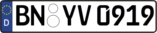 BN-YV0919