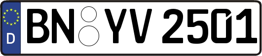 BN-YV2501