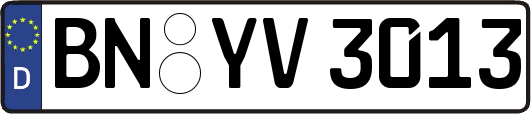 BN-YV3013