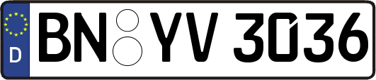 BN-YV3036