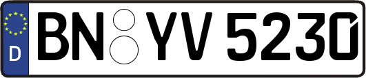 BN-YV5230