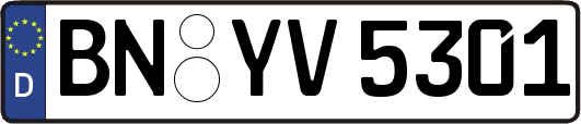 BN-YV5301