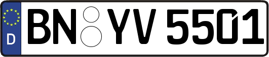 BN-YV5501