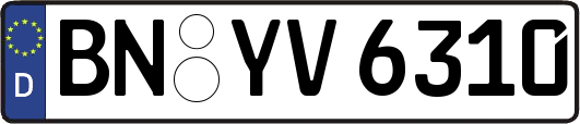 BN-YV6310