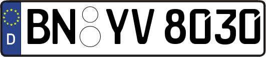 BN-YV8030