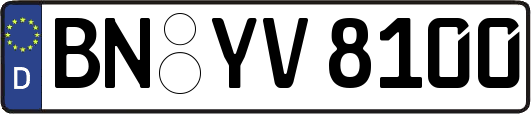 BN-YV8100