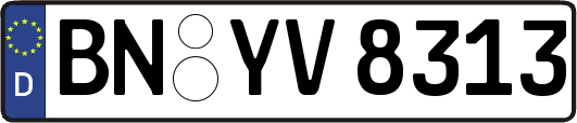 BN-YV8313