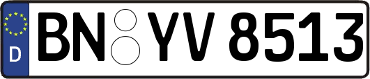 BN-YV8513