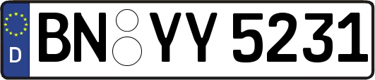 BN-YY5231