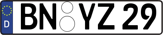 BN-YZ29