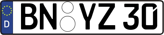 BN-YZ30