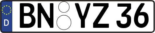 BN-YZ36