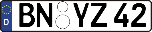 BN-YZ42