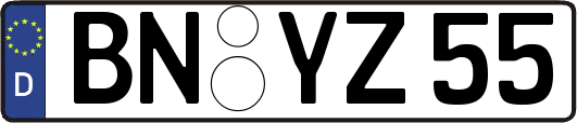 BN-YZ55