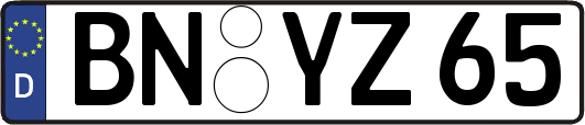 BN-YZ65
