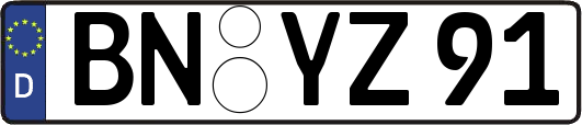 BN-YZ91