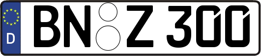 BN-Z300