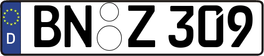 BN-Z309