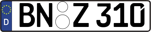 BN-Z310