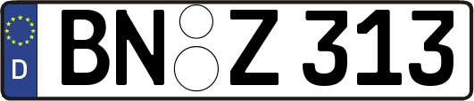 BN-Z313
