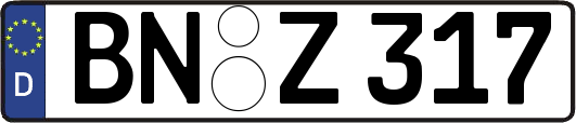 BN-Z317