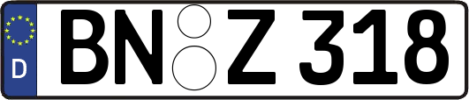 BN-Z318