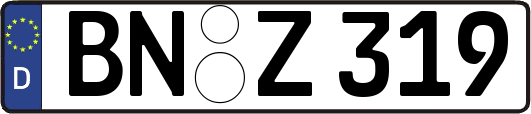 BN-Z319