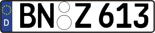 BN-Z613