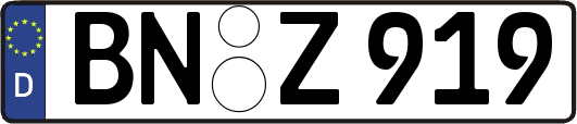 BN-Z919