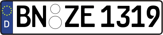 BN-ZE1319