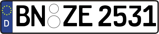 BN-ZE2531