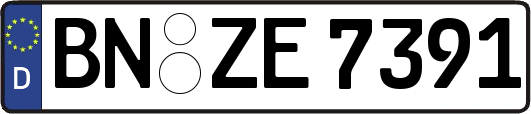 BN-ZE7391