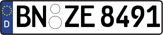 BN-ZE8491