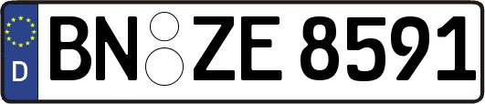 BN-ZE8591