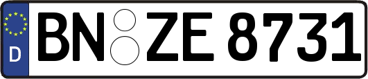 BN-ZE8731