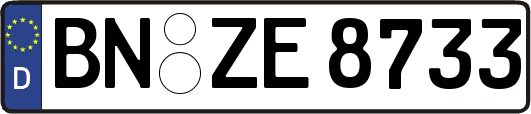 BN-ZE8733